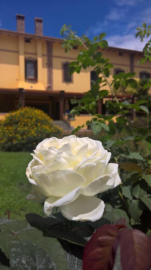 Boma Countryhouse Casale Bufalotta Εξωτερικό φωτογραφία